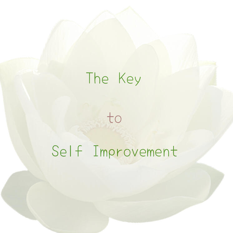 Self Improvement